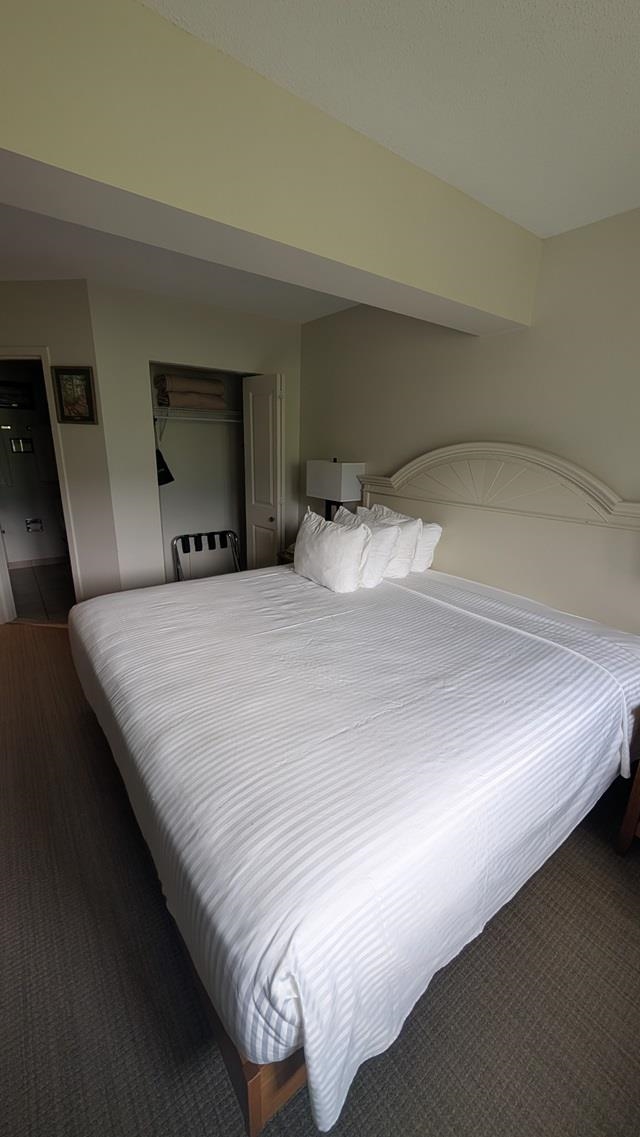 90 Loon Mountain Road, Unit 1157A Lincoln, NH 03251 - Photo 4 of 50