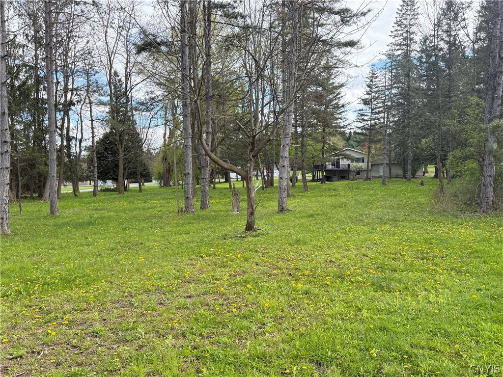 64 Gunderman Road Danby, NY 14850 - Photo 48 of 50