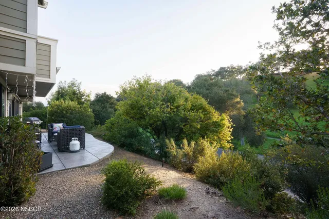 a view of a garden with a bench