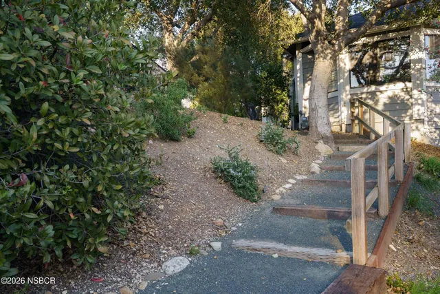 a view of a yard with plants and trees