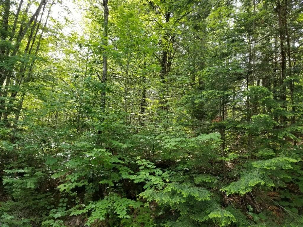 140 Valley Road Dixfield, ME 04224 - Photo 27 of 30 Photo