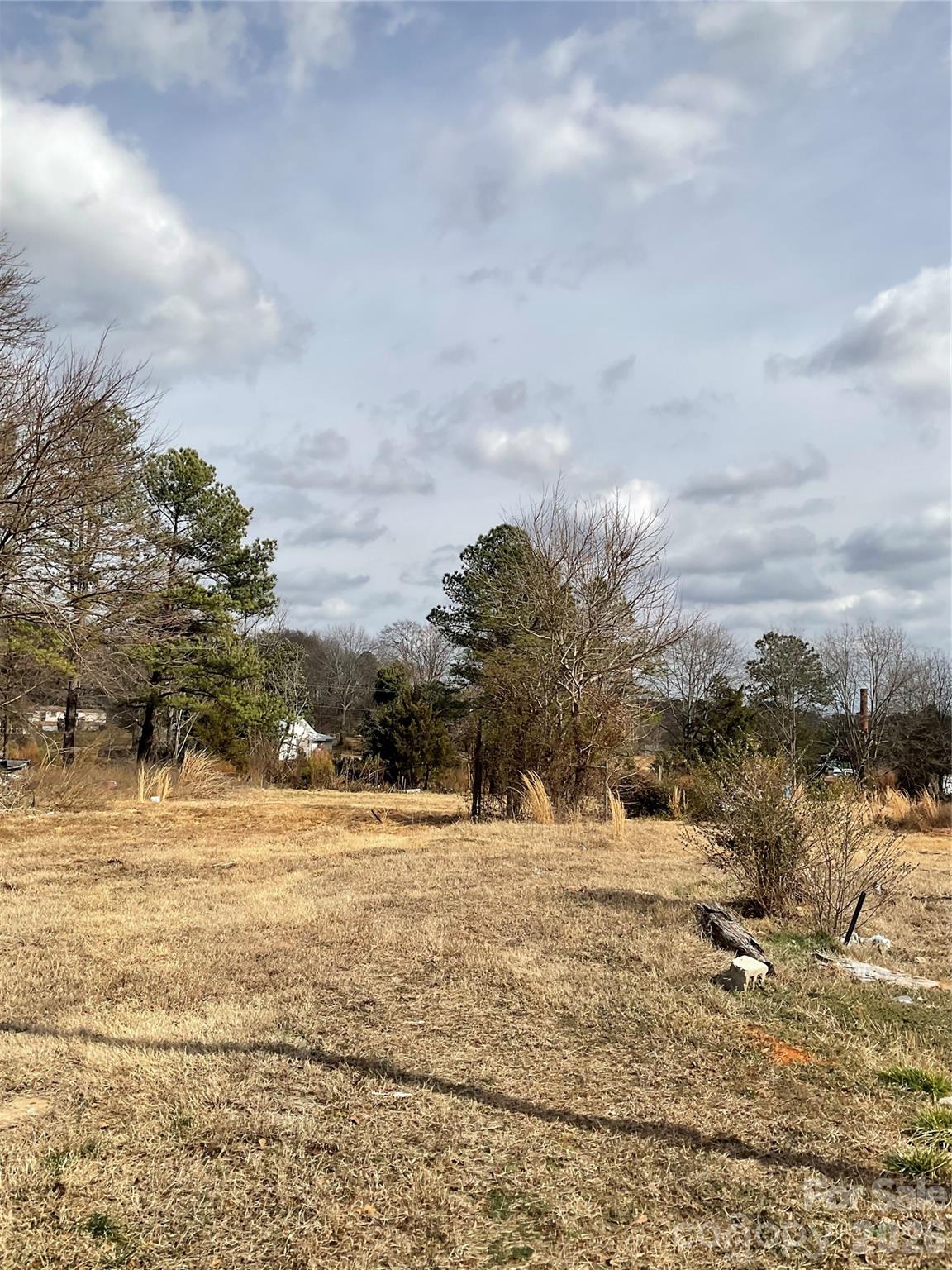 293 South Pea Ridge Road Mooresboro, NC 28114 - Photo 10 of 14
