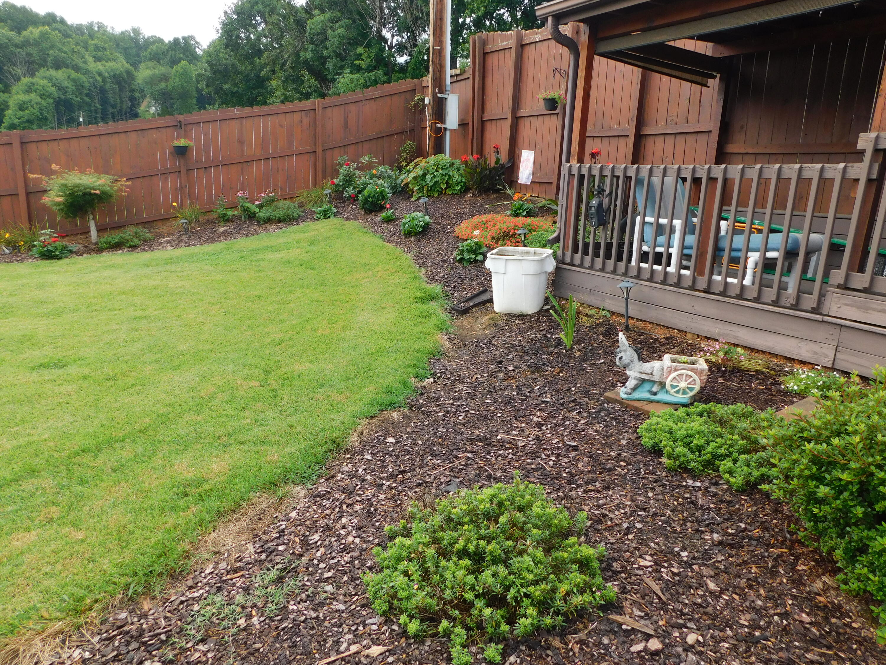 209 Mandan Road Kingsport, TN 37664 - Photo 33 of 94 DSCN4379