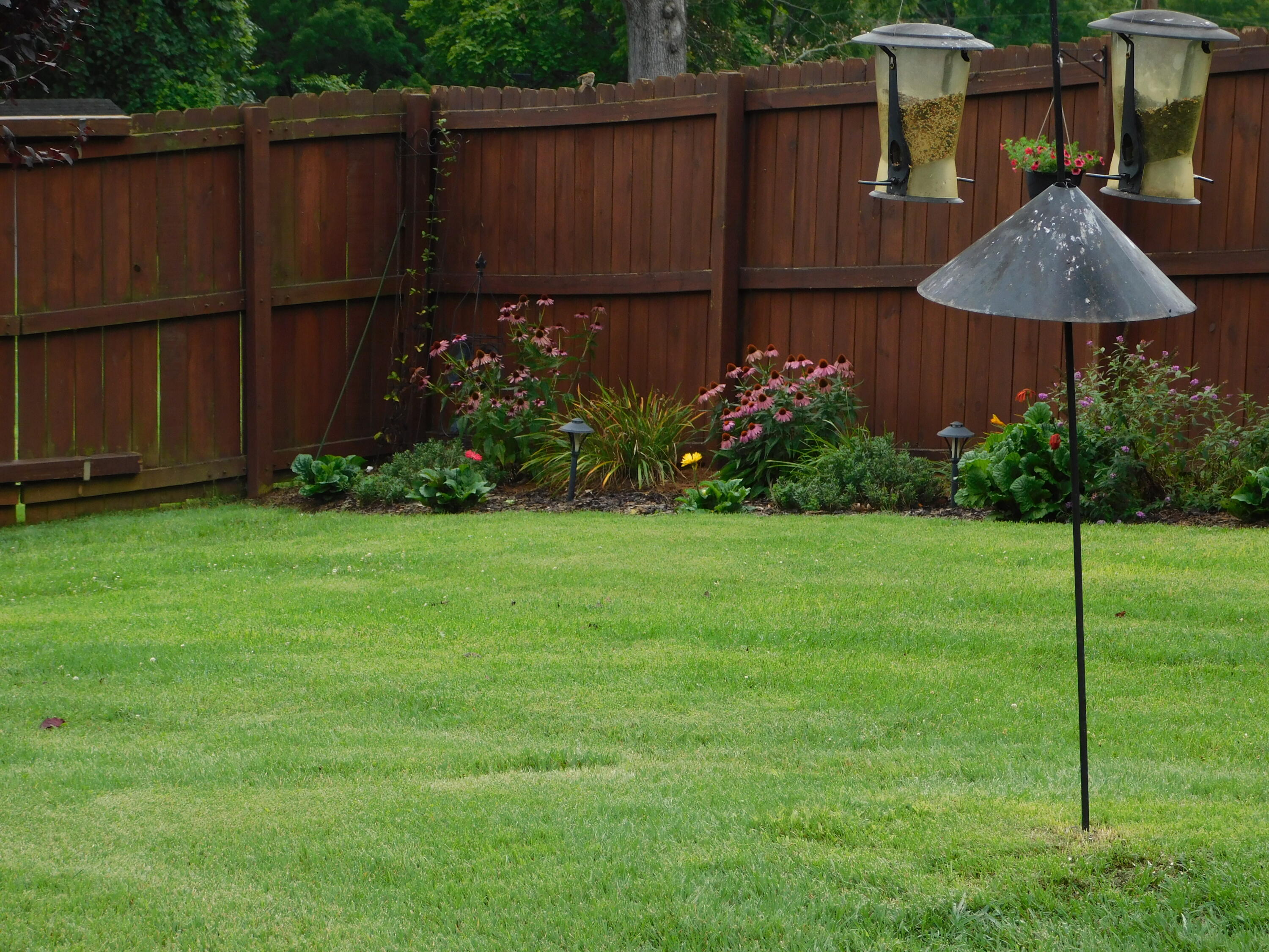 209 Mandan Road Kingsport, TN 37664 - Photo 37 of 94 DSCN4383
