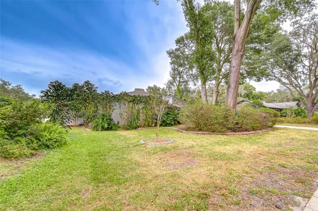 a aerial view of a house with a yard plants and large tree