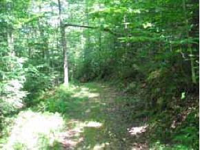 1652 Lincoln Road Ripton, VT 05766 - Photo 6 of 12