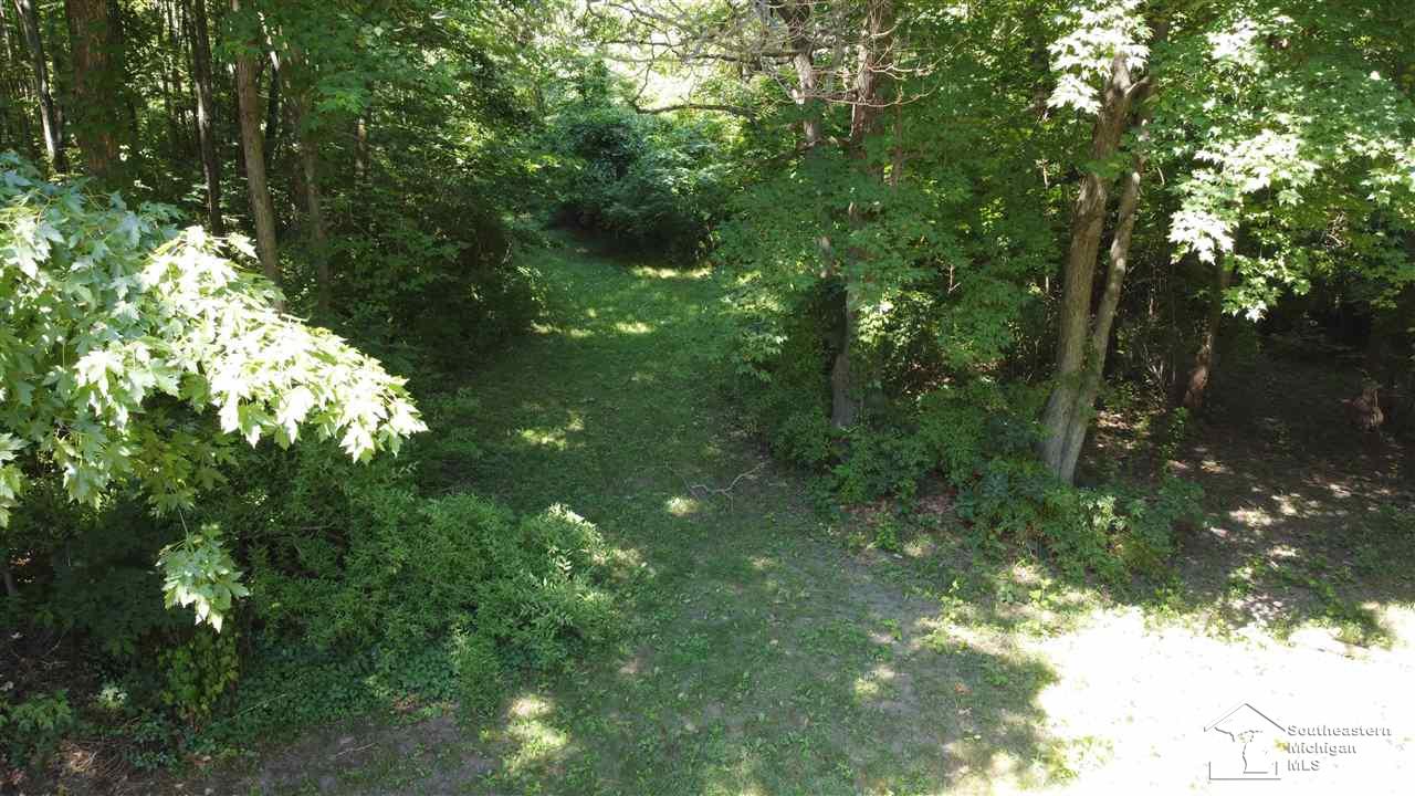 3530 Consear Road Lambertville, MI 48144 - Photo 9 of 60