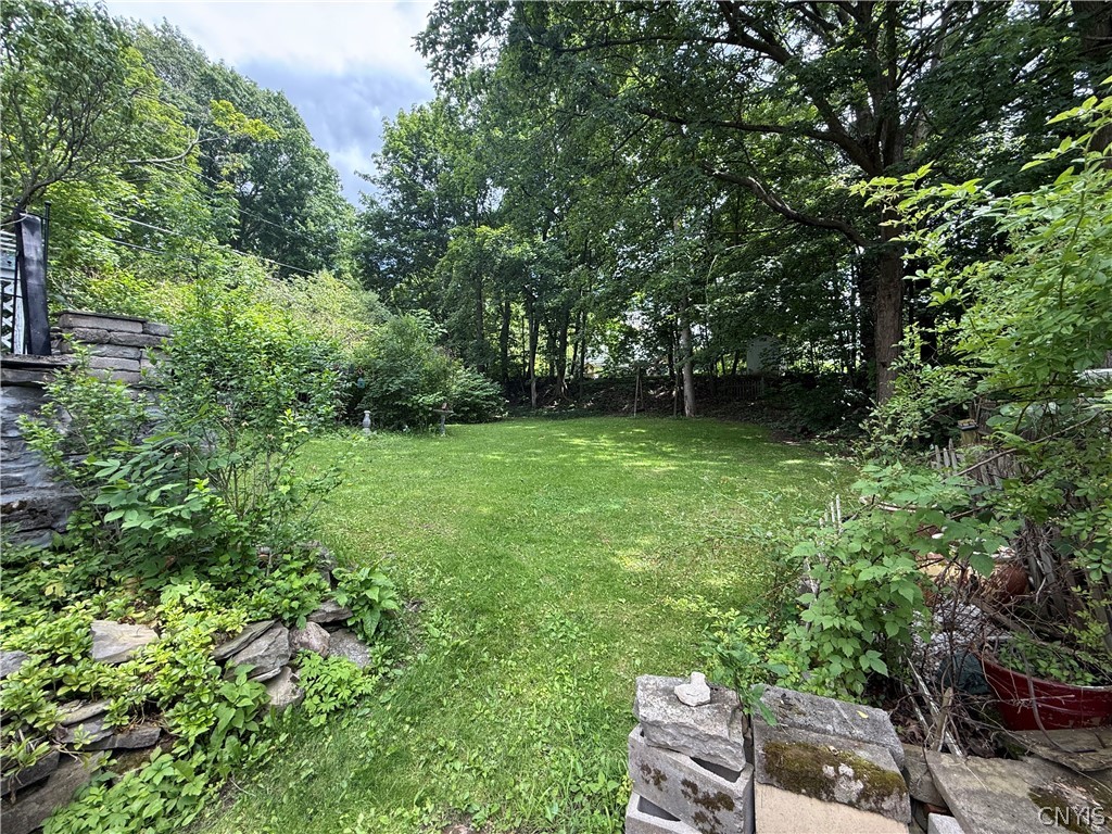 211 Center Street Manlius, NY 13066 - Photo 5 of 33