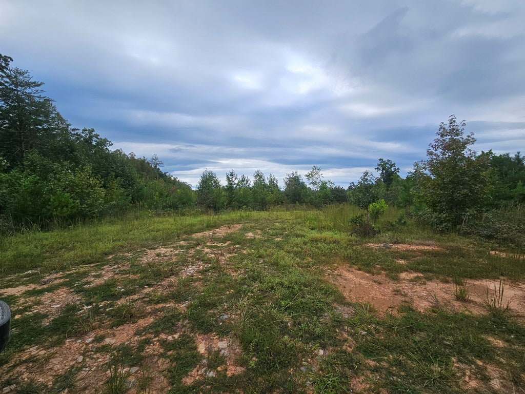 Schultz Mill Road Meherrin, VA 23954 - Photo 14 of 16 Gallery Image 14