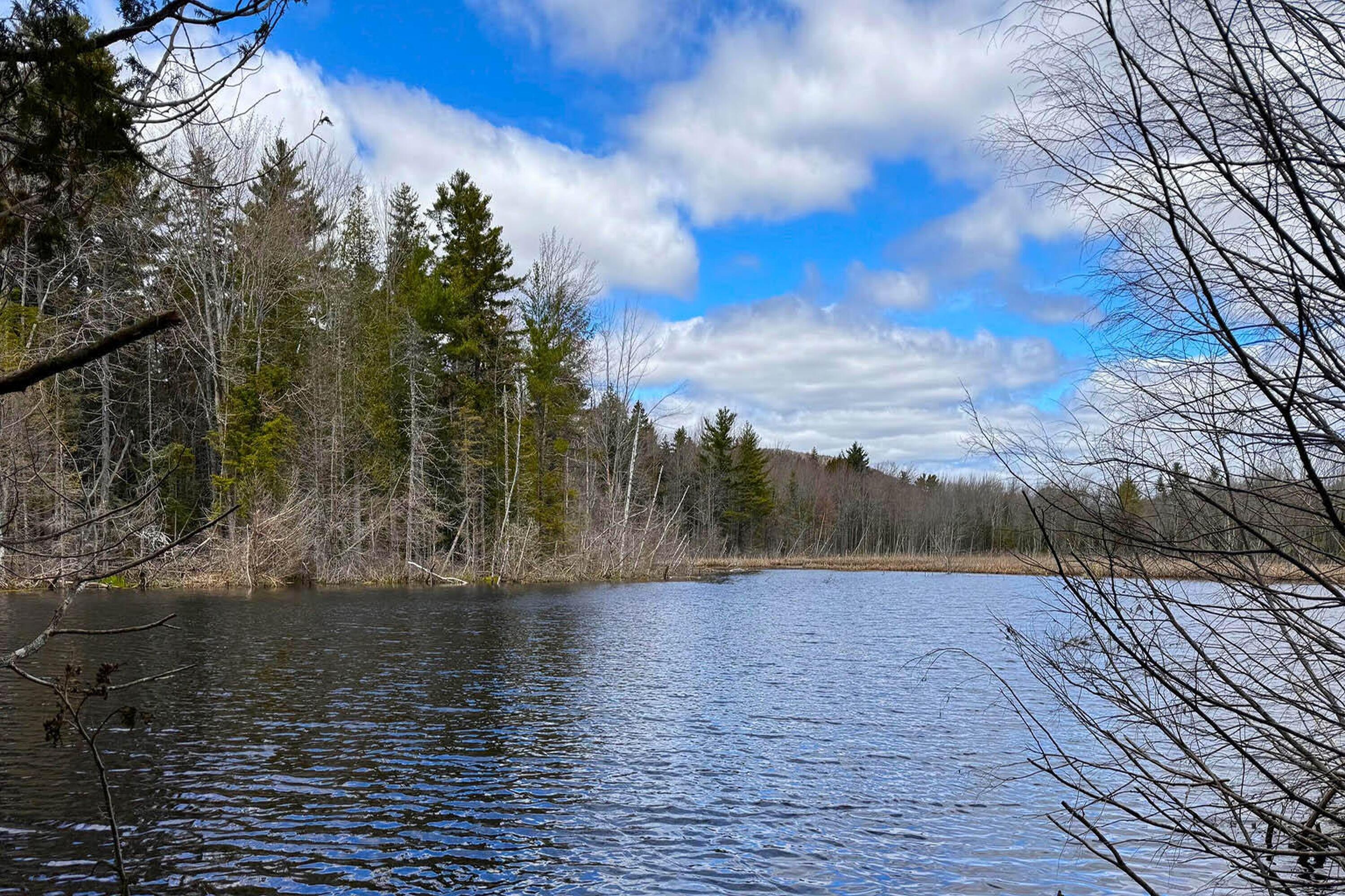 18 Salamander Road Lincolnville, ME 04849 - Photo 6 of 49 6