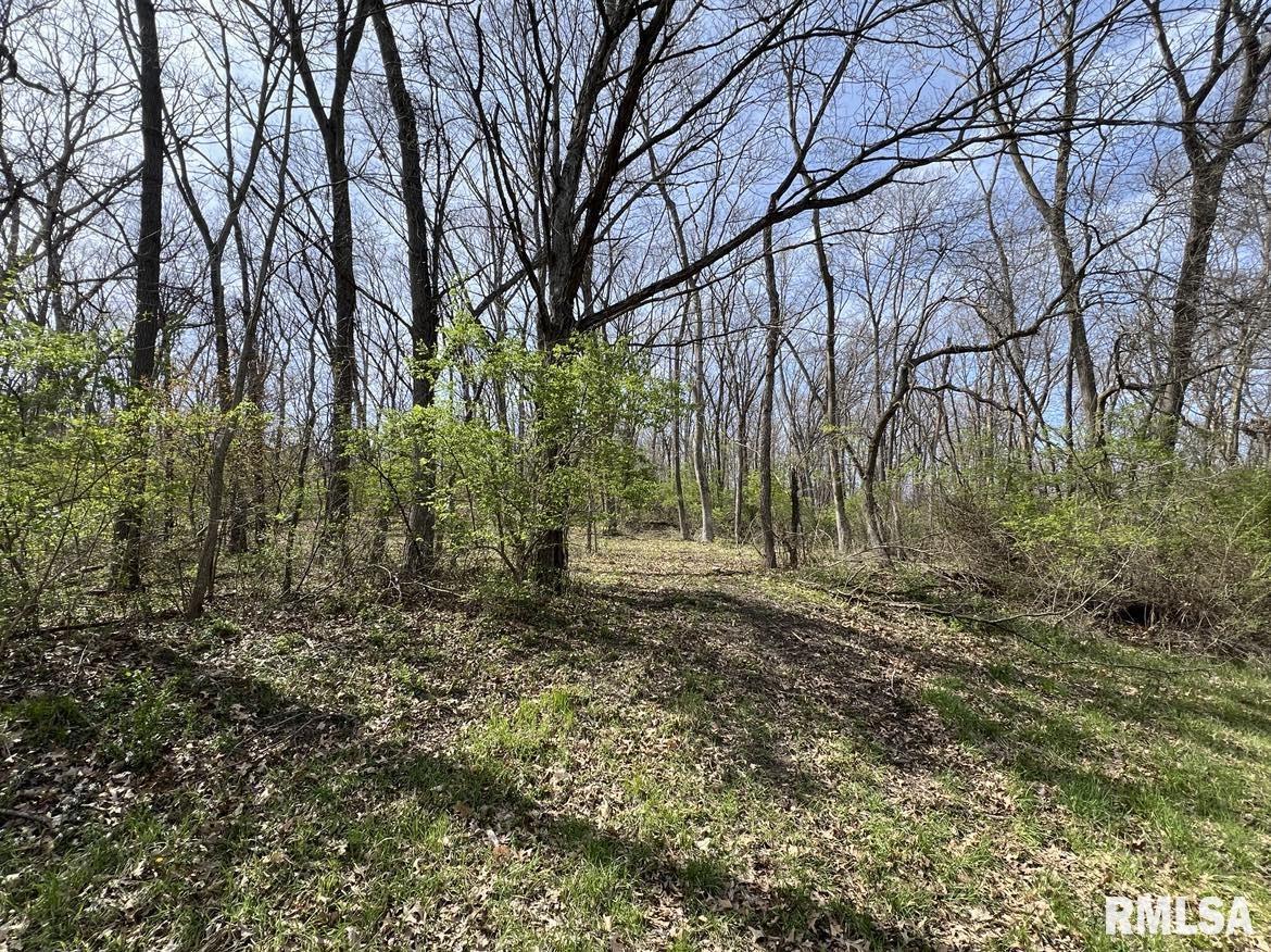 11 Flax Road Macomb, IL 61455 - Photo 1 of 1