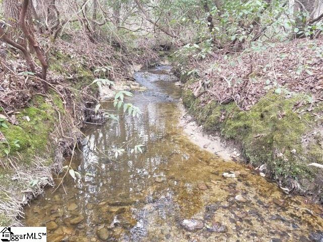Willis Road Fountain Inn, SC 29644 - Photo 5 of 12 Gallery Image 5