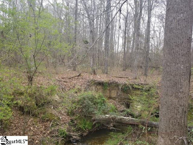 Willis Road Fountain Inn, SC 29644 - Photo 8 of 12 Gallery Image 8