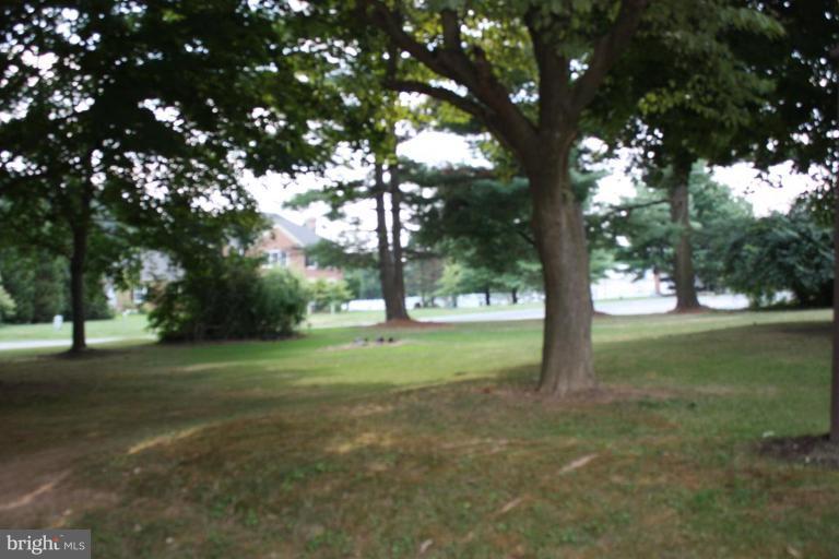 8404 Rocky Springs Road Frederick, MD 21702 - Photo 10 of 26 a view of a trees in a yard