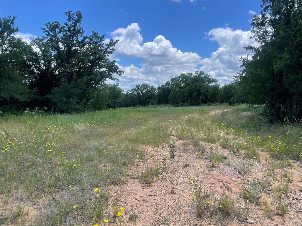 0 Lower Tonk Valley Road Graham, TX 76450 - Photo 9 of 35