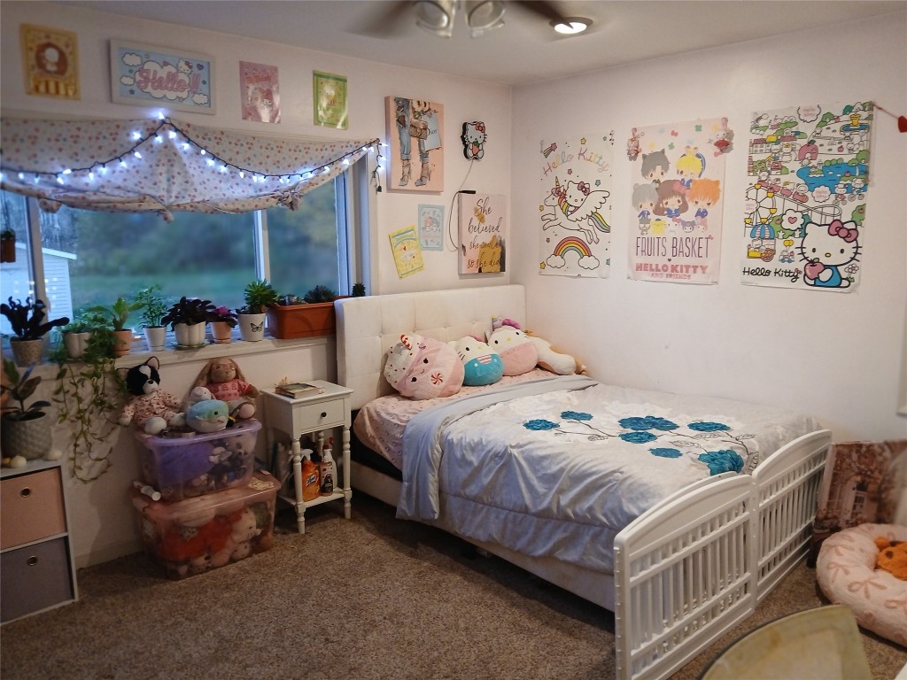 45 Lee Road Dryden, NY 13053 - Photo 25 of 30