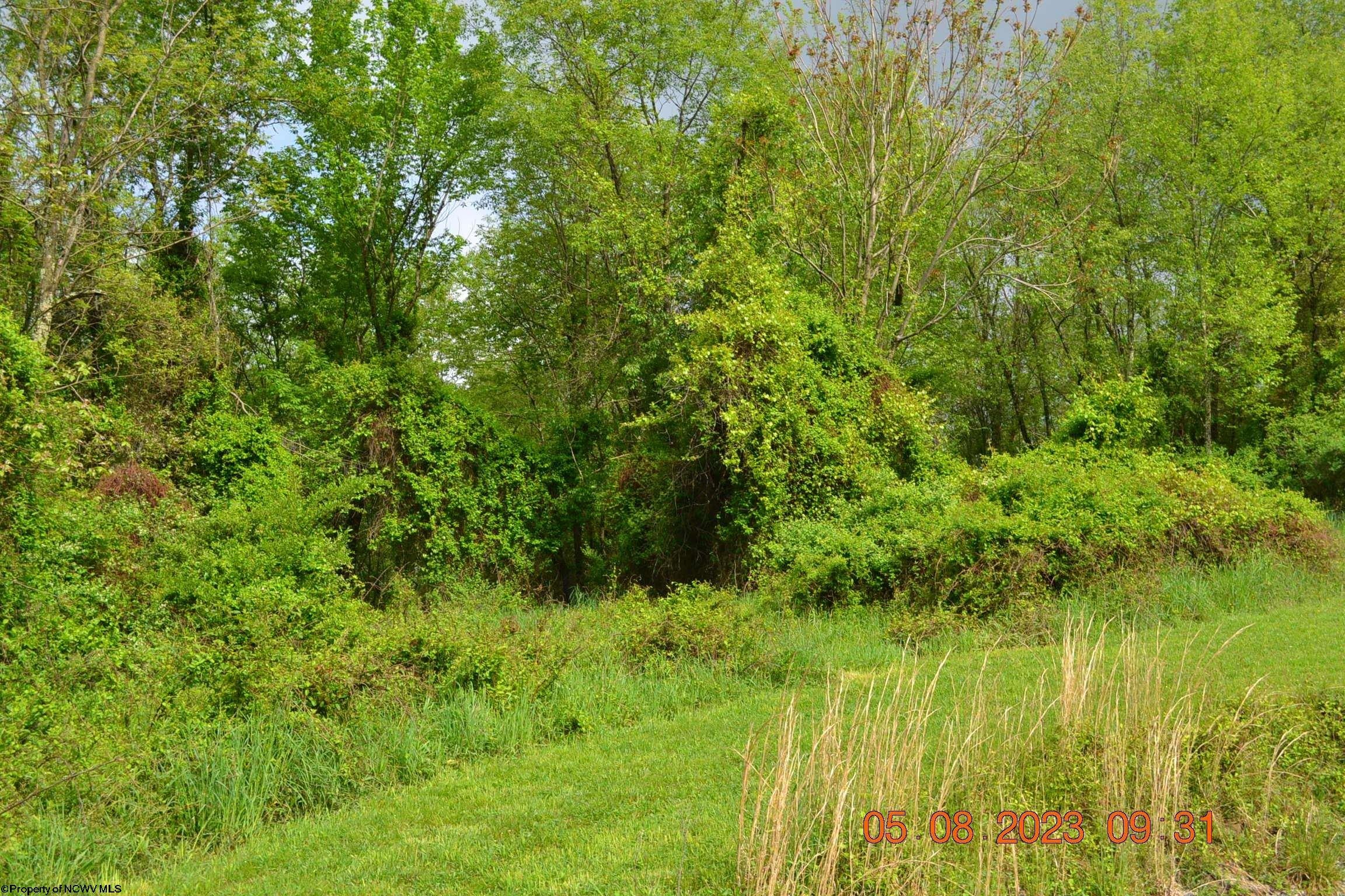 0 Lucas Dairy Road Shinnston, WV 26431 - Photo 6 of 10 Gallery Image 6