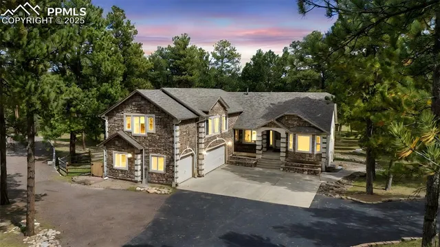 a view of a tree in the middle of a yard