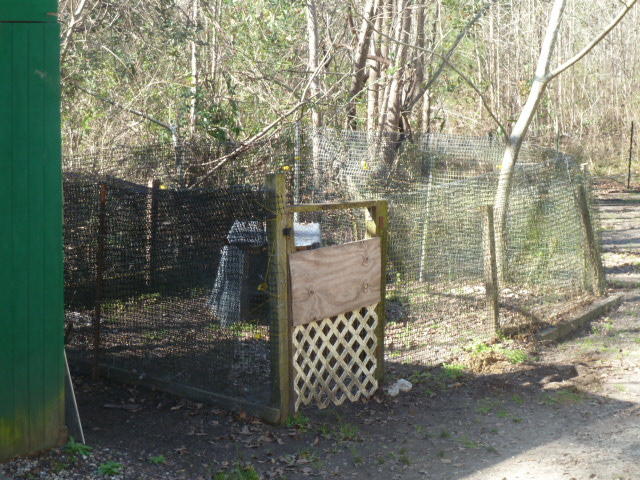 5135 Bock Road Hollywood, SC 29449 - Photo 21 of 24 5135 bock dog pen