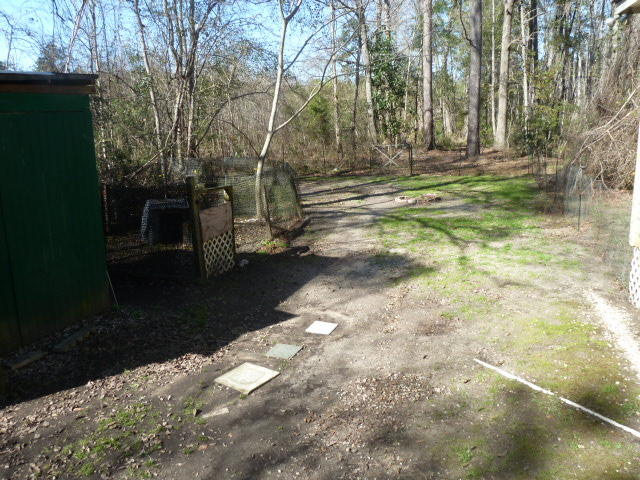 5135 Bock Road Hollywood, SC 29449 - Photo 22 of 24 5135 bock back yard 5