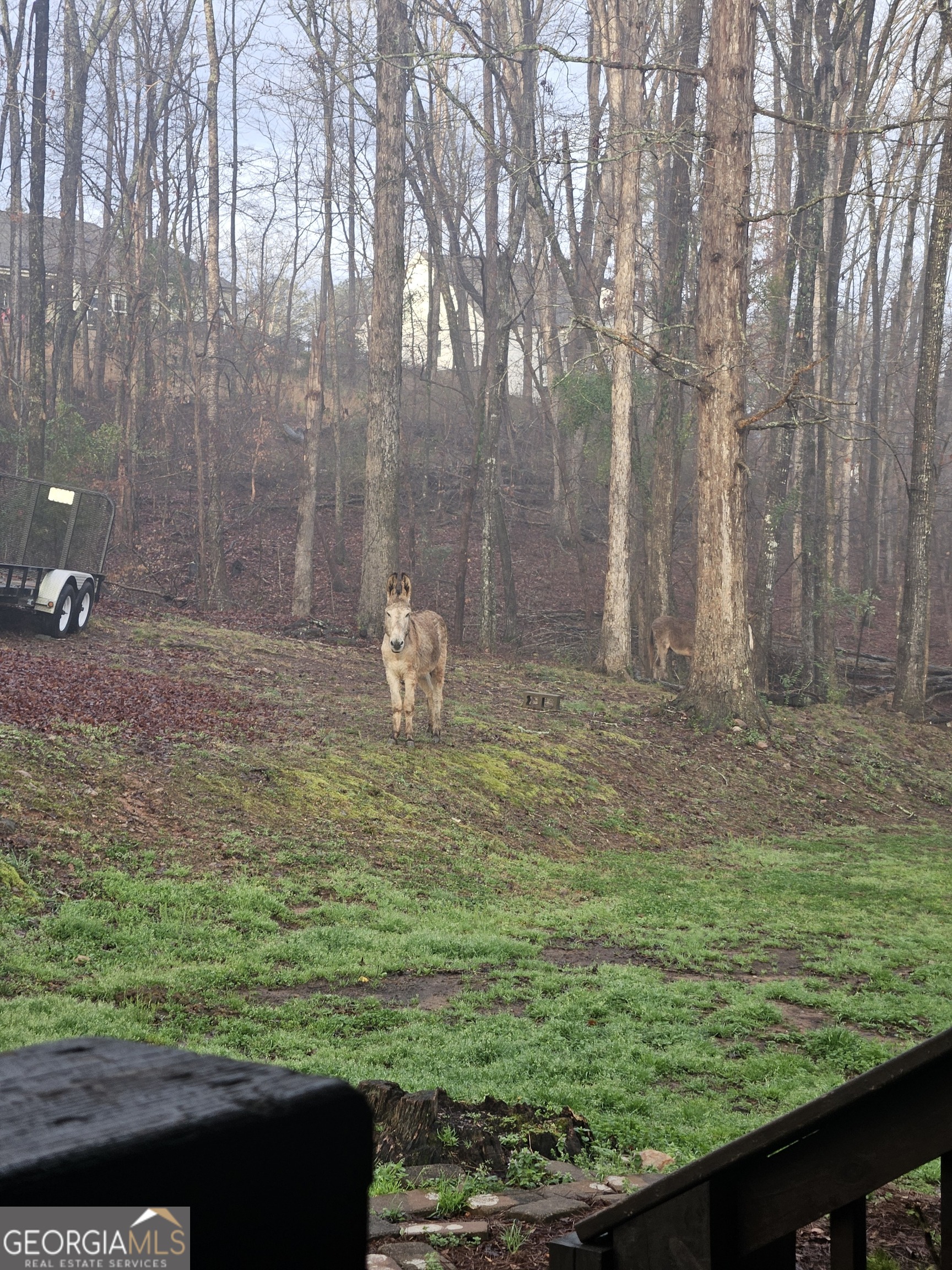 162 Orchard Circle Commerce, GA 30529 - Photo 25 of 53