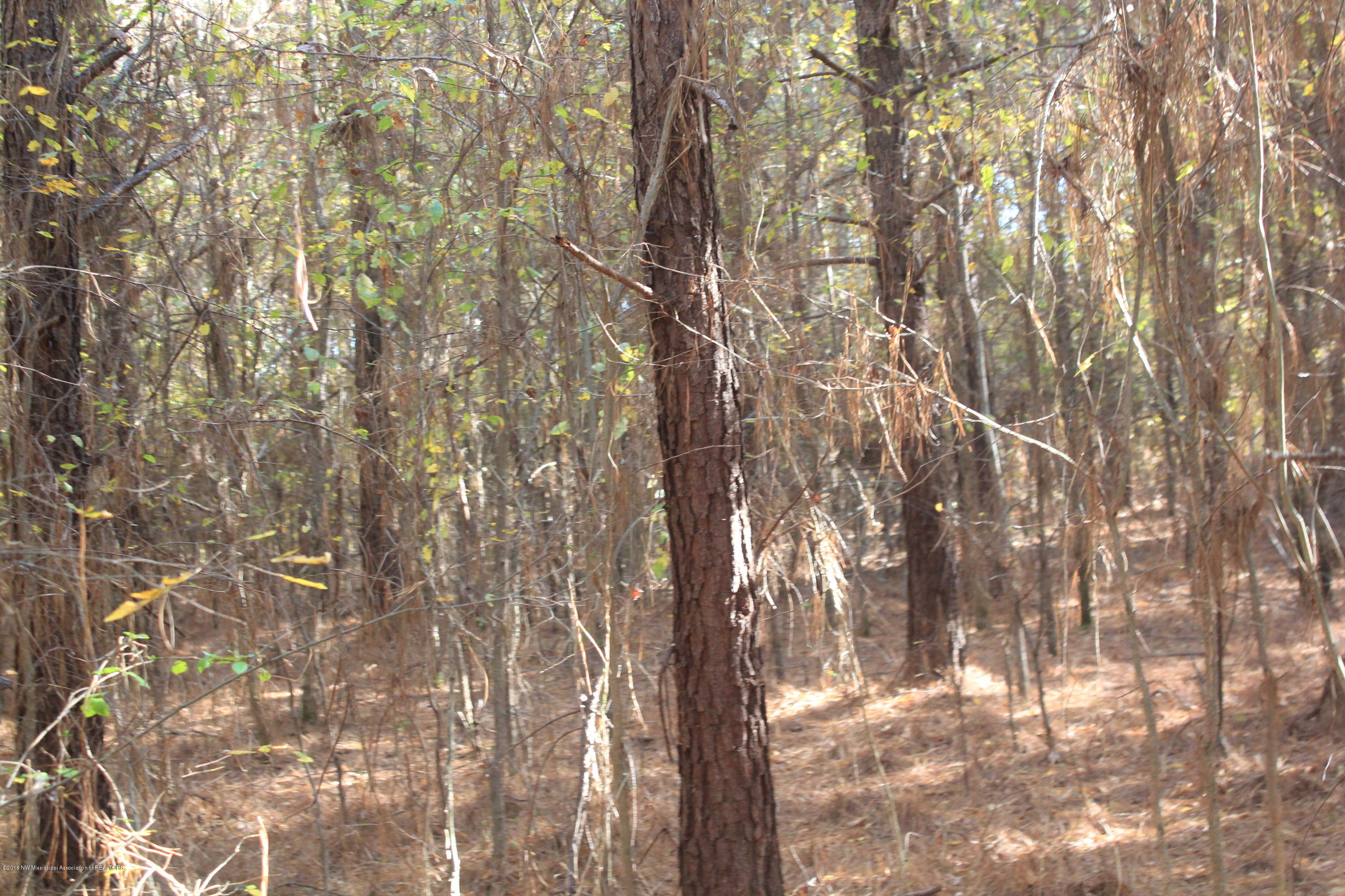 313 Williams Road Byhalia, MS 38611 - Photo 25 of 31 062