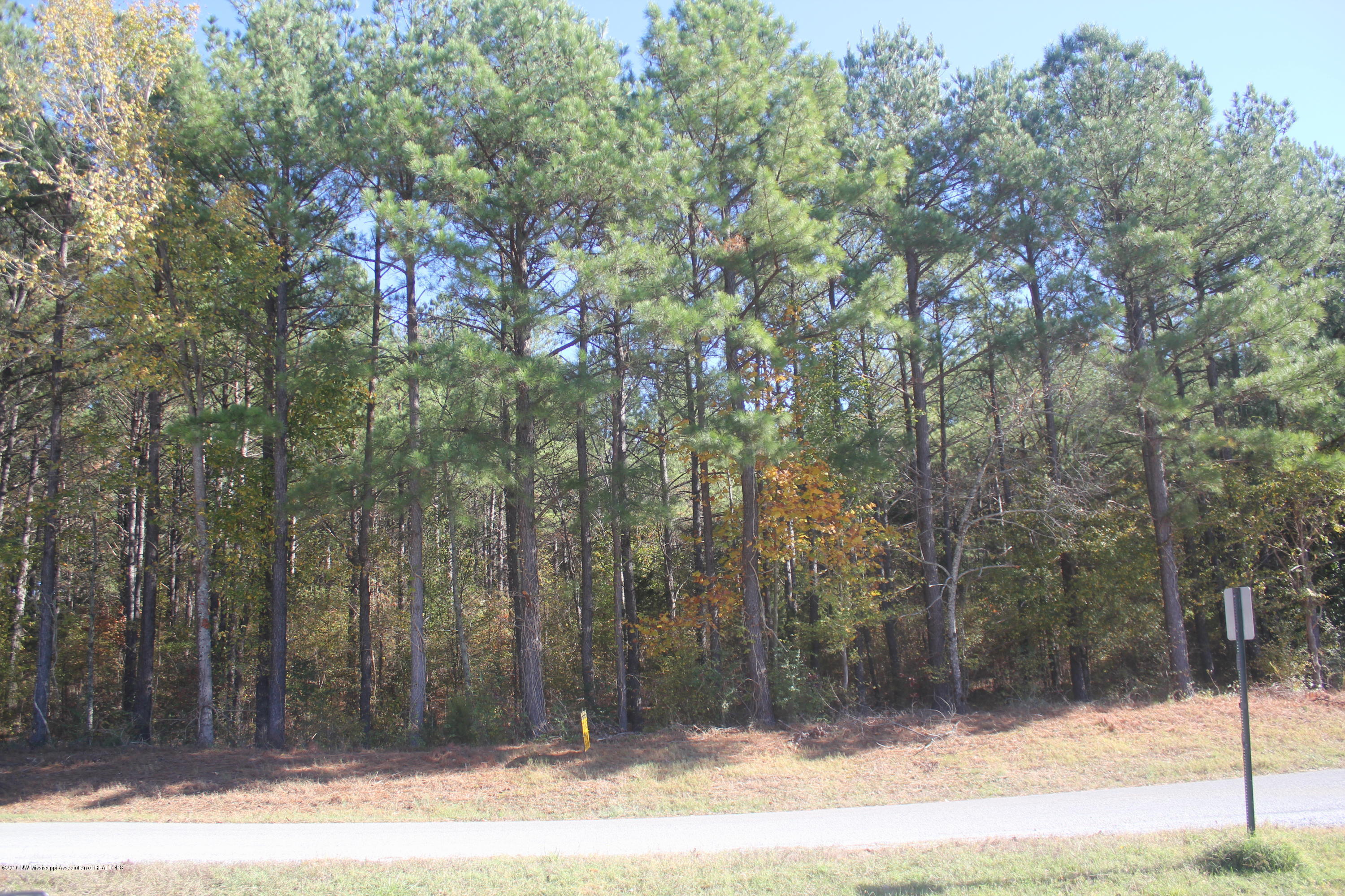 313 Williams Road Byhalia, MS 38611 - Photo 3 of 31 014