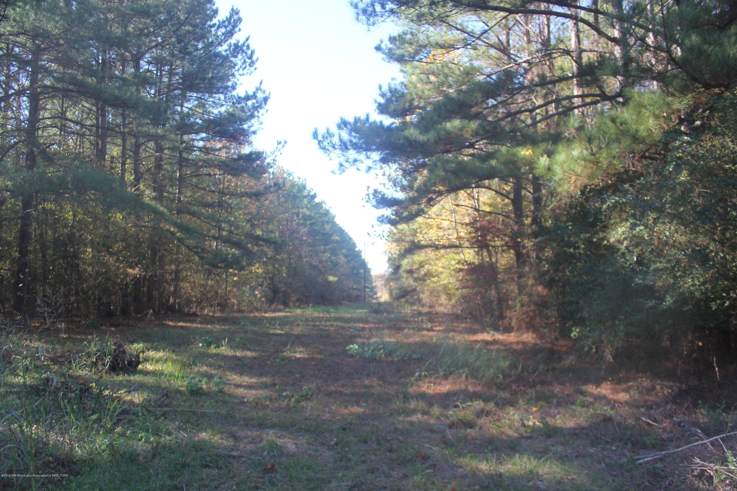 313 Williams Road Byhalia, MS 38611 - Photo 4 of 31 015