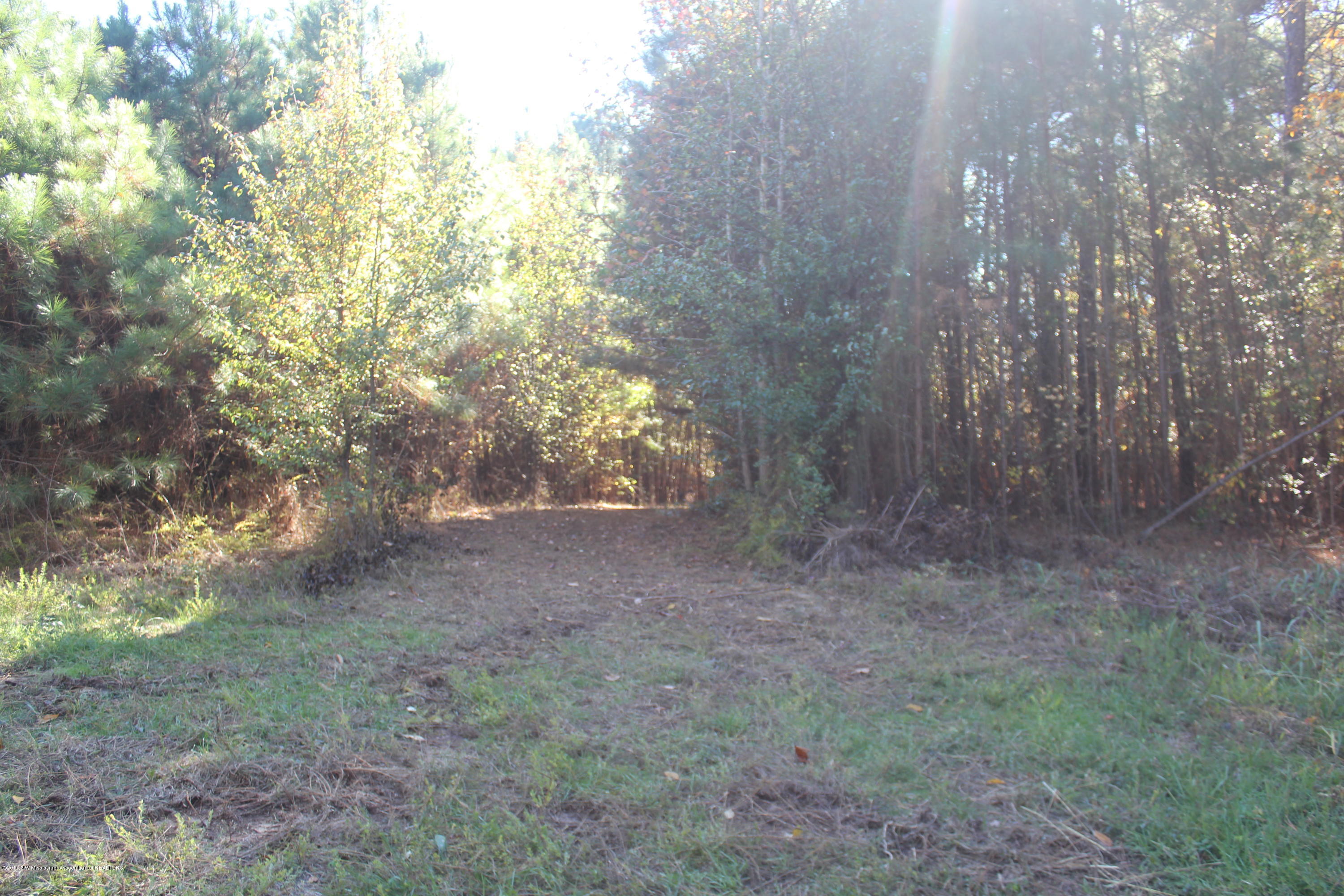 313 Williams Road Byhalia, MS 38611 - Photo 5 of 31 017