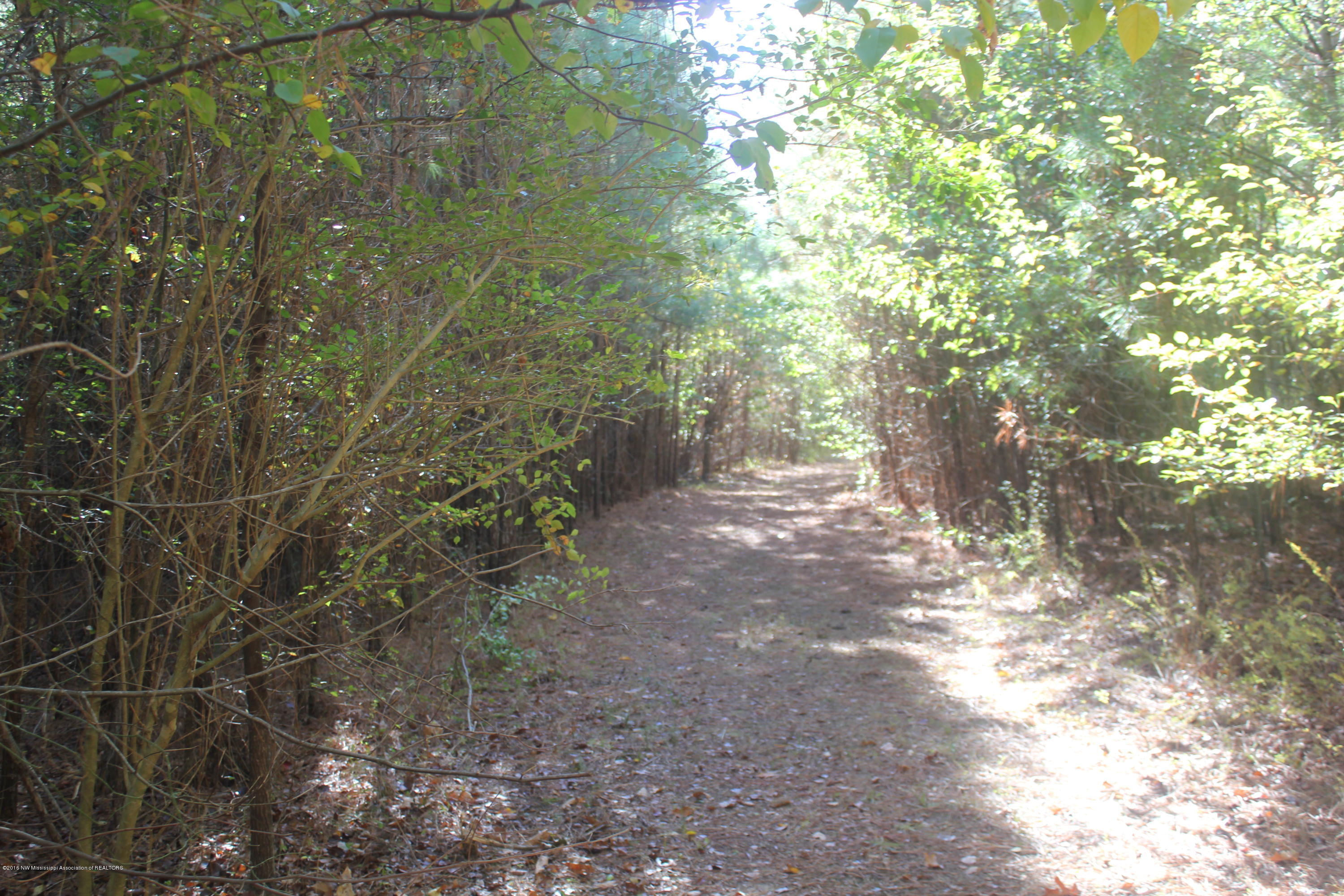 313 Williams Road Byhalia, MS 38611 - Photo 8 of 31 021