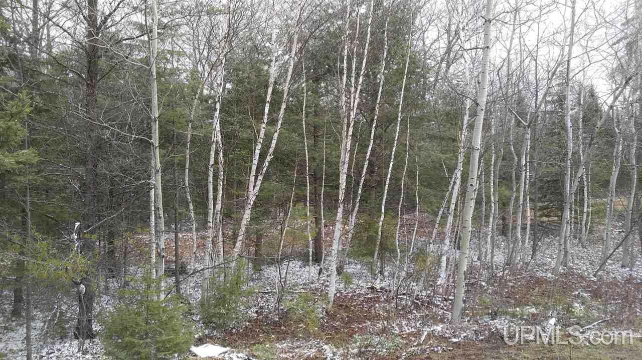 73-acres Co Rd 480 Marquette, MI 49855 - Photo 14 of 18