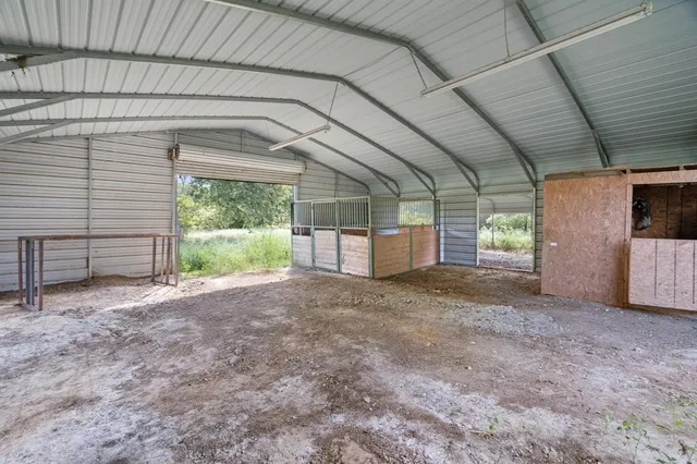a view of a backyard with a large tree