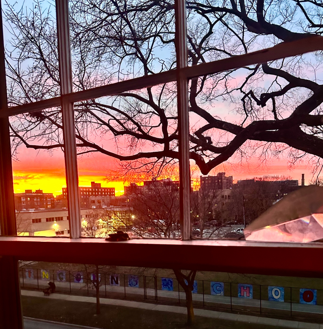 240 Lee Street, Unit 3 Evanston, IL 60202 - Photo 21 of 23 a view of city from a balcony