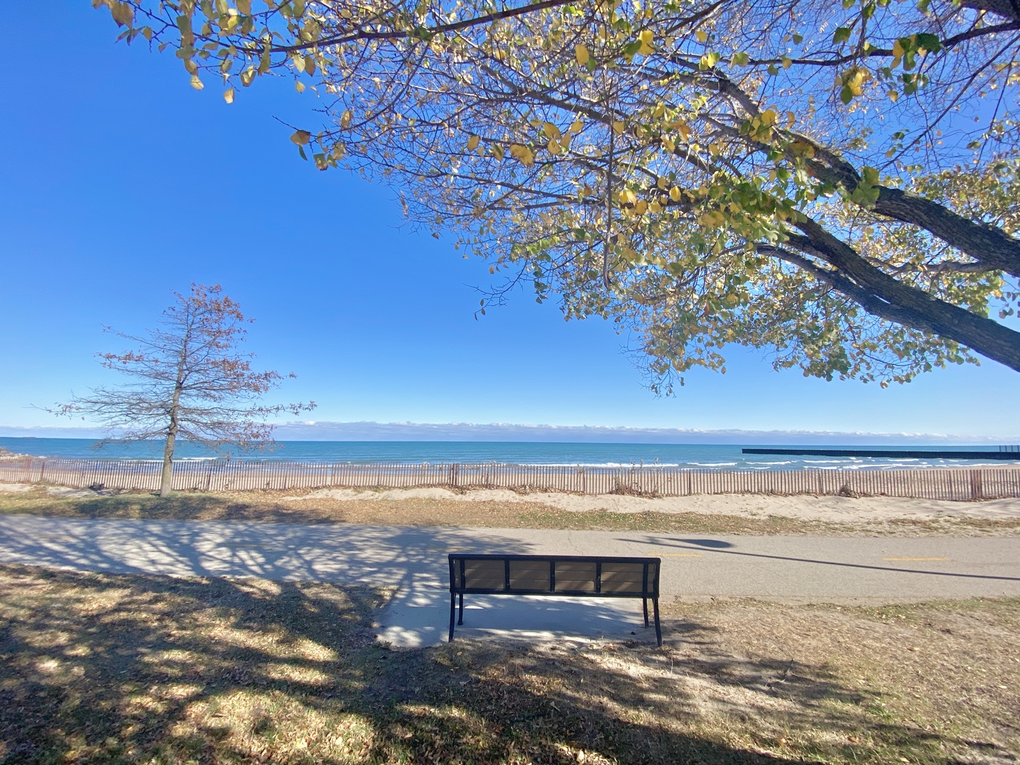 240 Lee Street, Unit 3 Evanston, IL 60202 - Photo 22 of 23 a view of a terrace with sky view