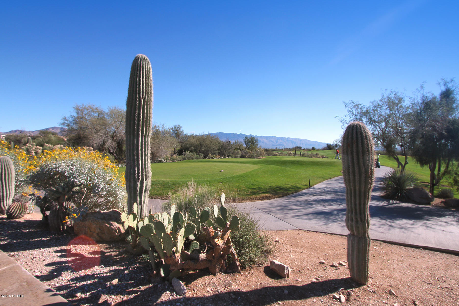 9810 East Spring View Place Tucson, AZ 85749 - Photo 12 of 50 Gallery Image 12
