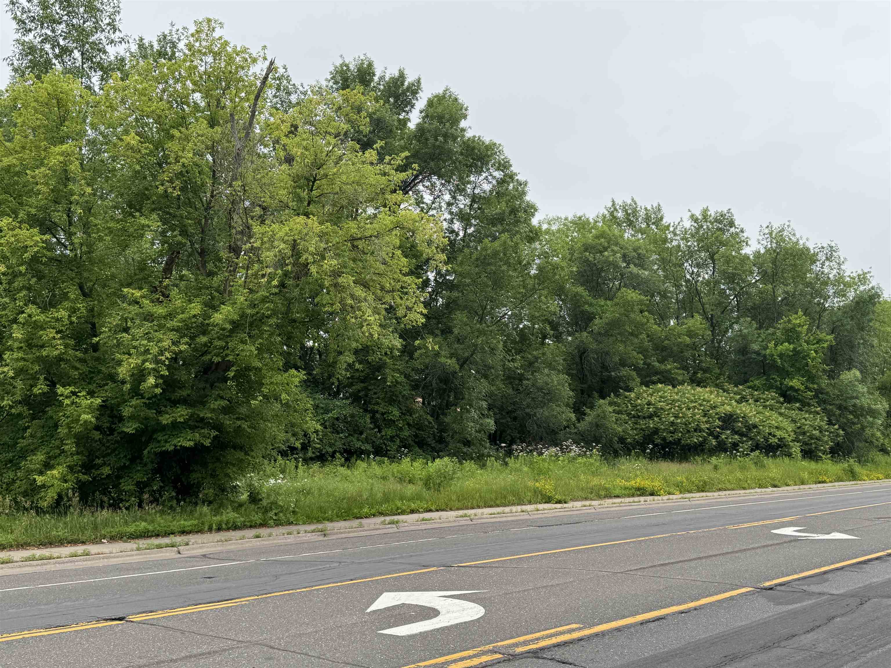 Xxx Commonwealth Avenue Duluth, MN 55808 - Photo 2 of 2