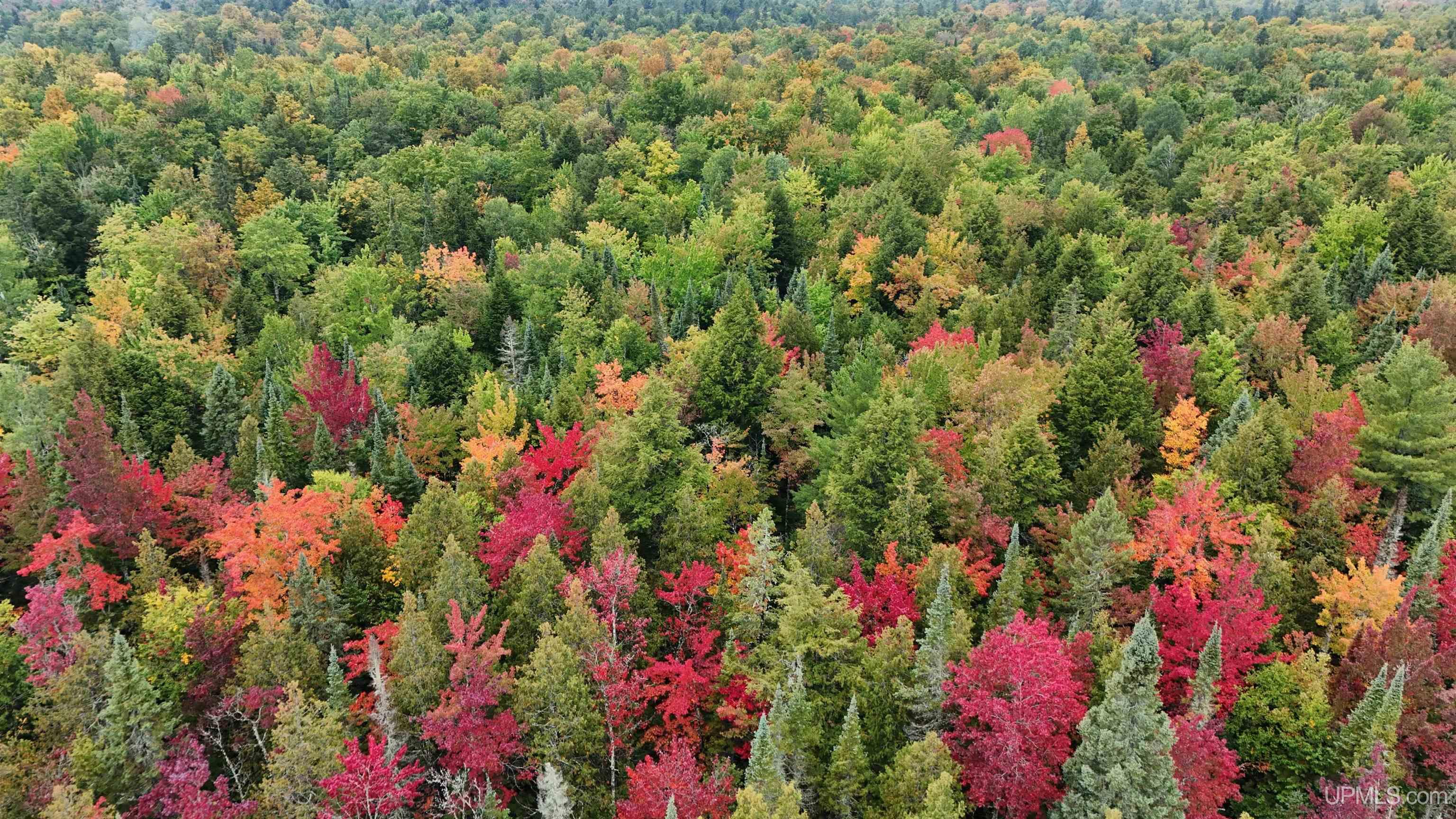 Tbd240 South Firesteel Road Ontonagon, MI 49953 - Photo 7 of 16