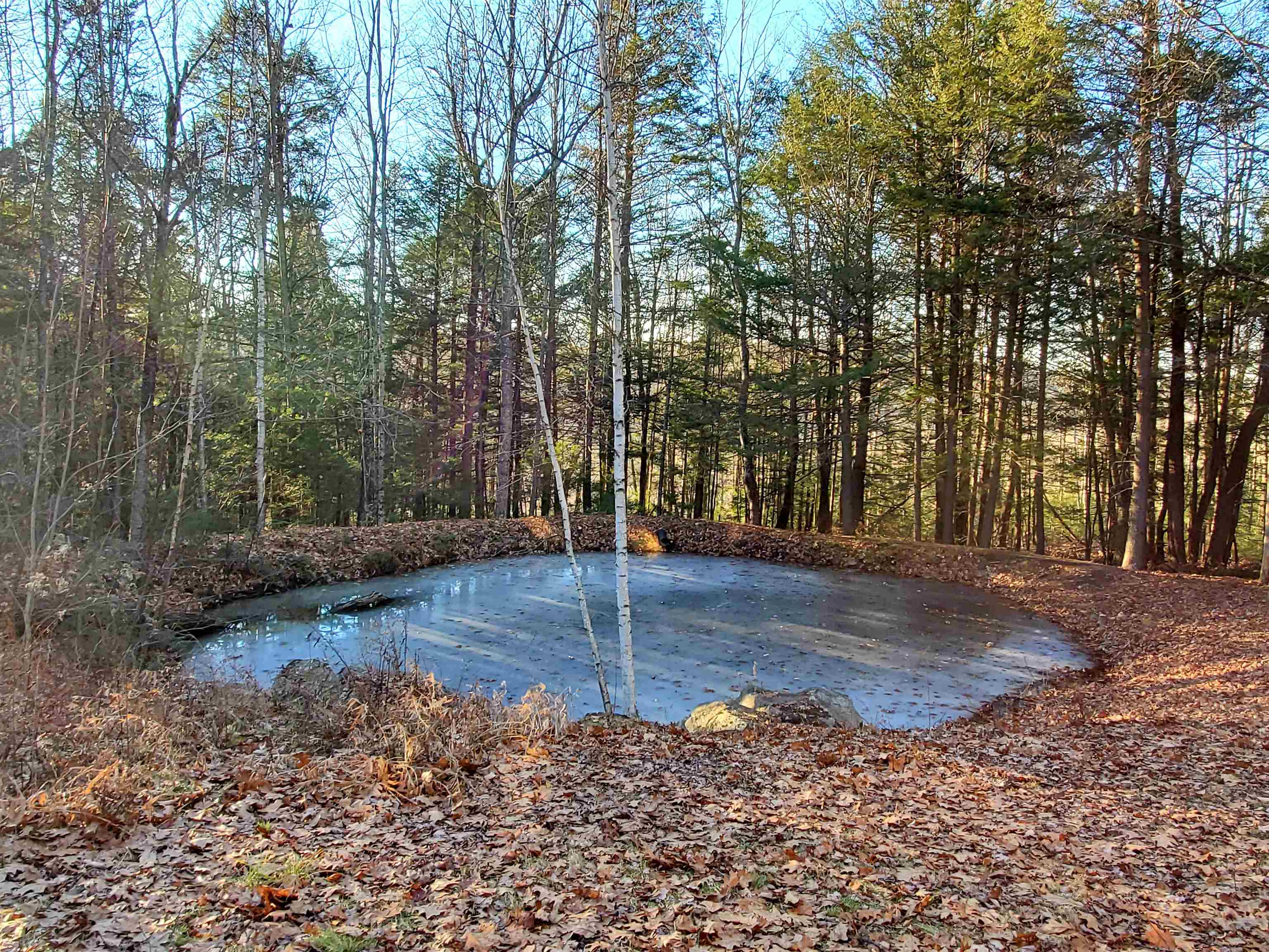 119 Searle Hill Road Danbury, NH 03230 - Photo 30 of 34