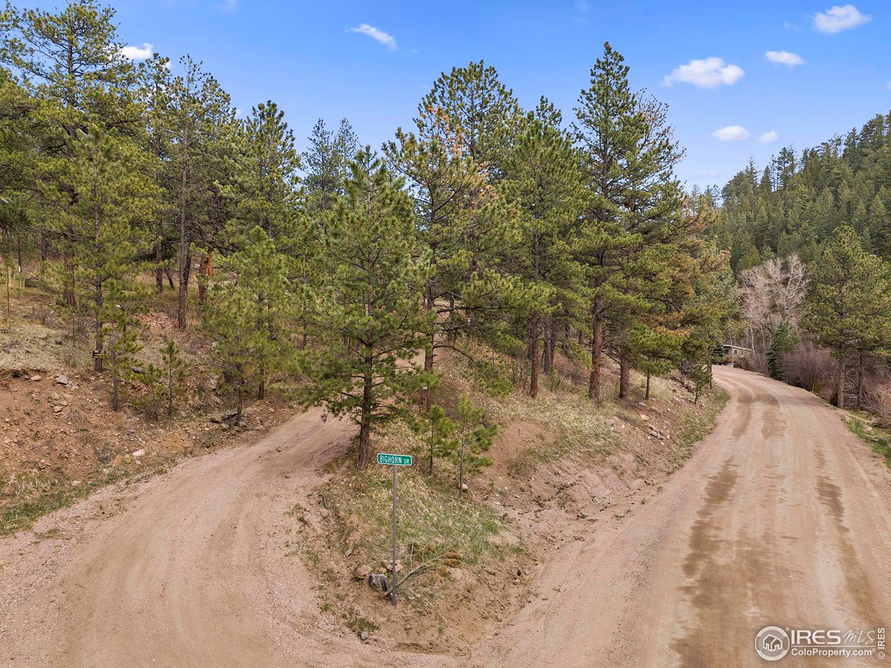 0 Buckhorn Road Bellvue, CO 80512 - Photo 14 of 15 Gallery Image 14