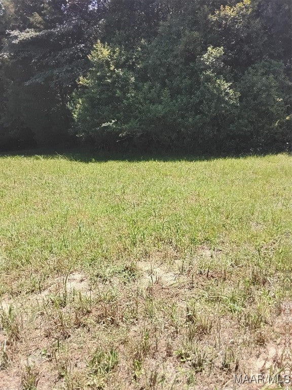 124 Crown Ridge Drive Selma, AL 36701 - Photo 2 of 3 Gallery Image 2