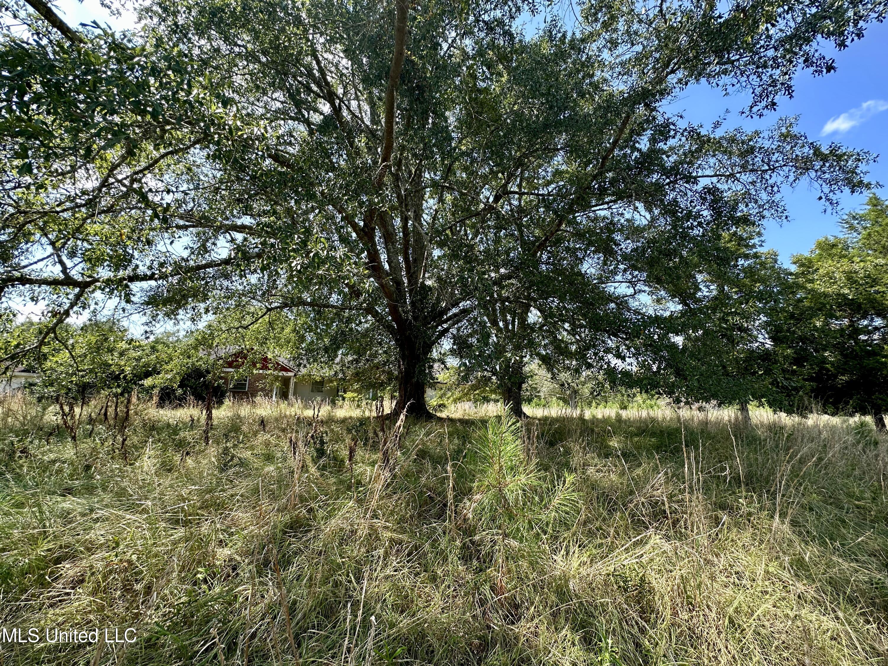 1101 Ms-413 Kilmichael, MS 39747 - Photo 1 of 12 fullsizeoutput_49f