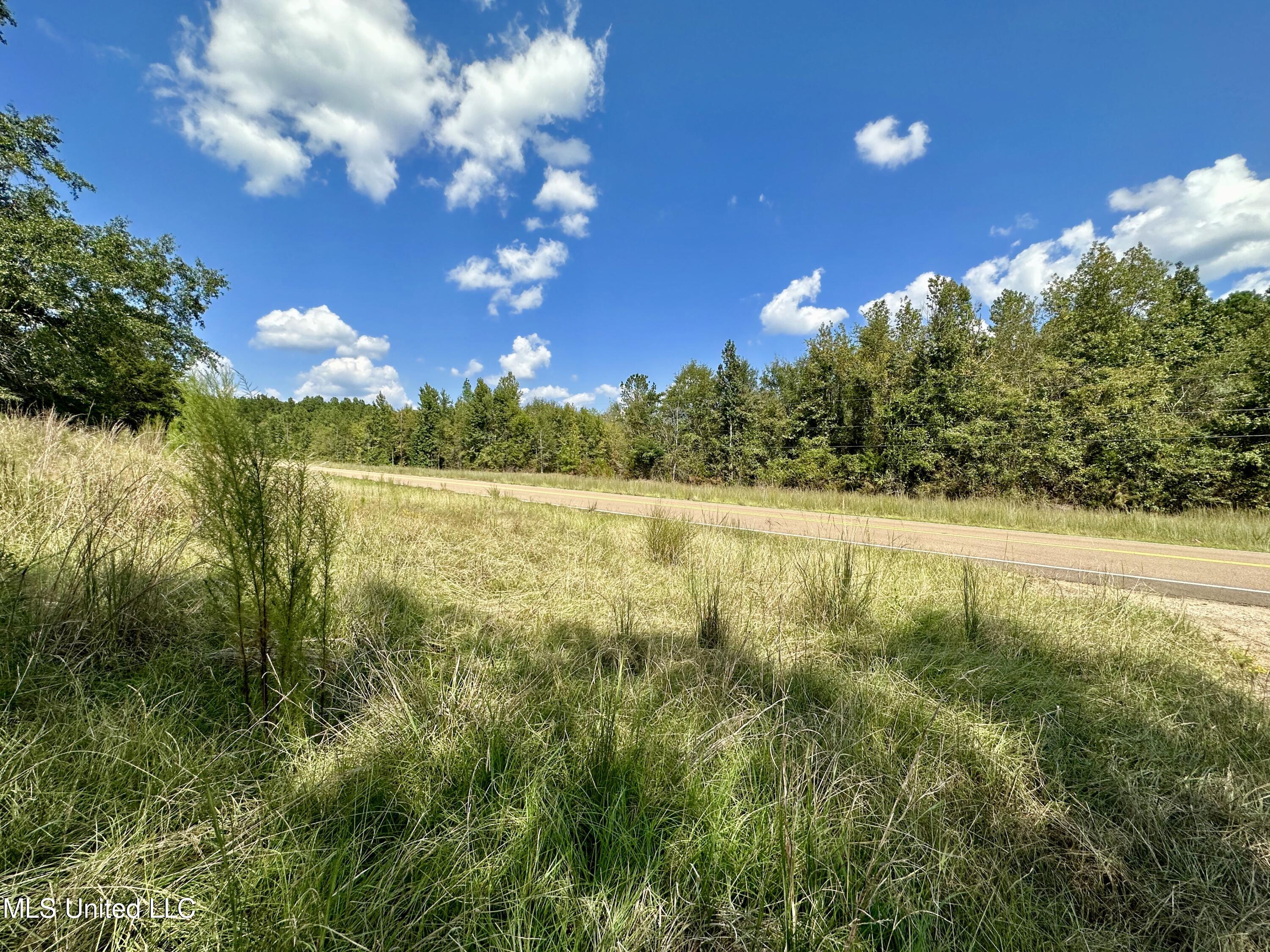 1101 Ms-413 Kilmichael, MS 39747 - Photo 2 of 12 fullsizeoutput_49d