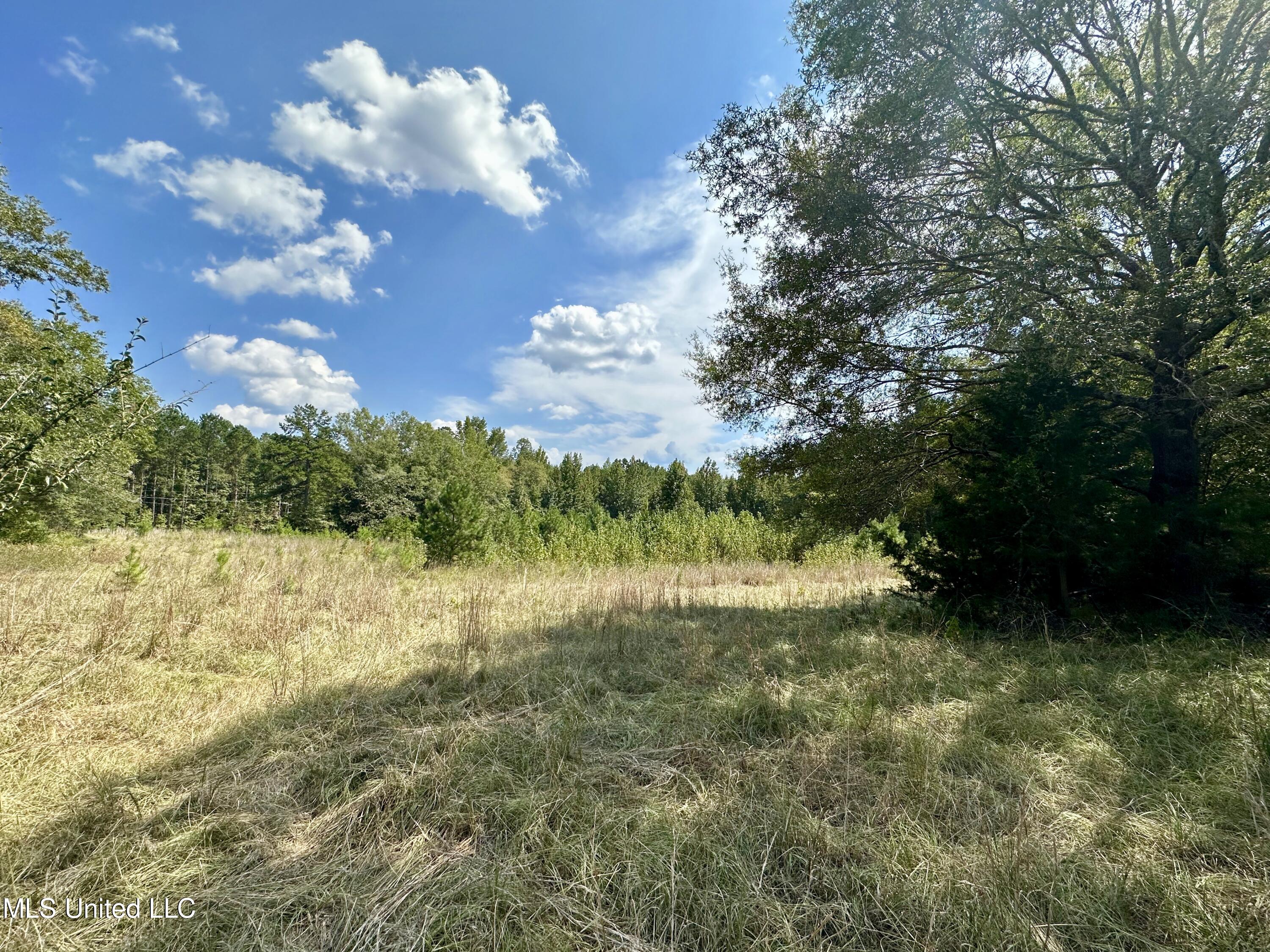 1101 Ms-413 Kilmichael, MS 39747 - Photo 6 of 12 fullsizeoutput_4b5