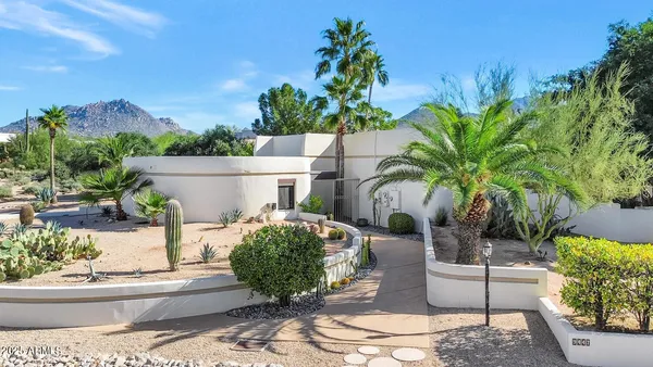 a view of a backyard with plants and a patio