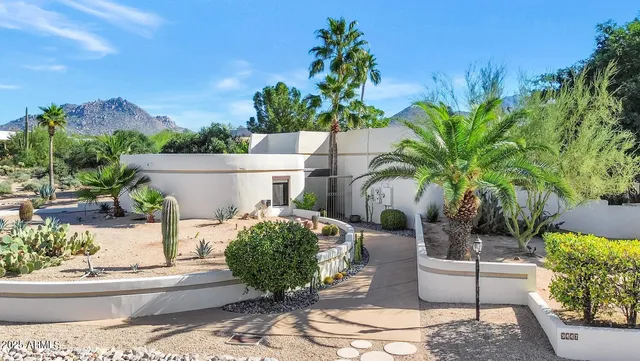 a view of a backyard with plants and a patio