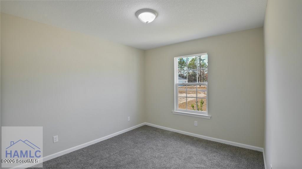 125 Pine Ridge Road Jesup, GA 31545 - Photo 3 of 14