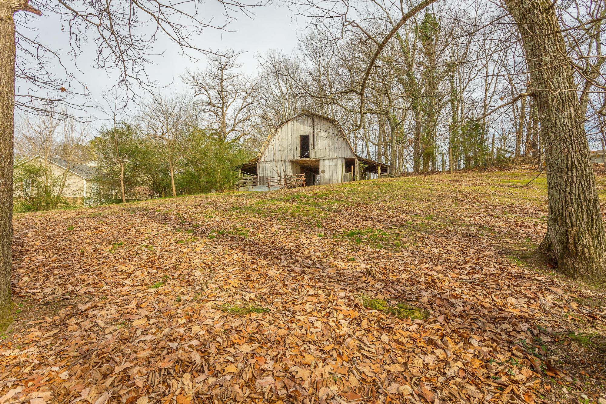 1807 Millard Road Soddy Daisy, TN 37379 - Photo 50 of 54 1807 Millard Road-33