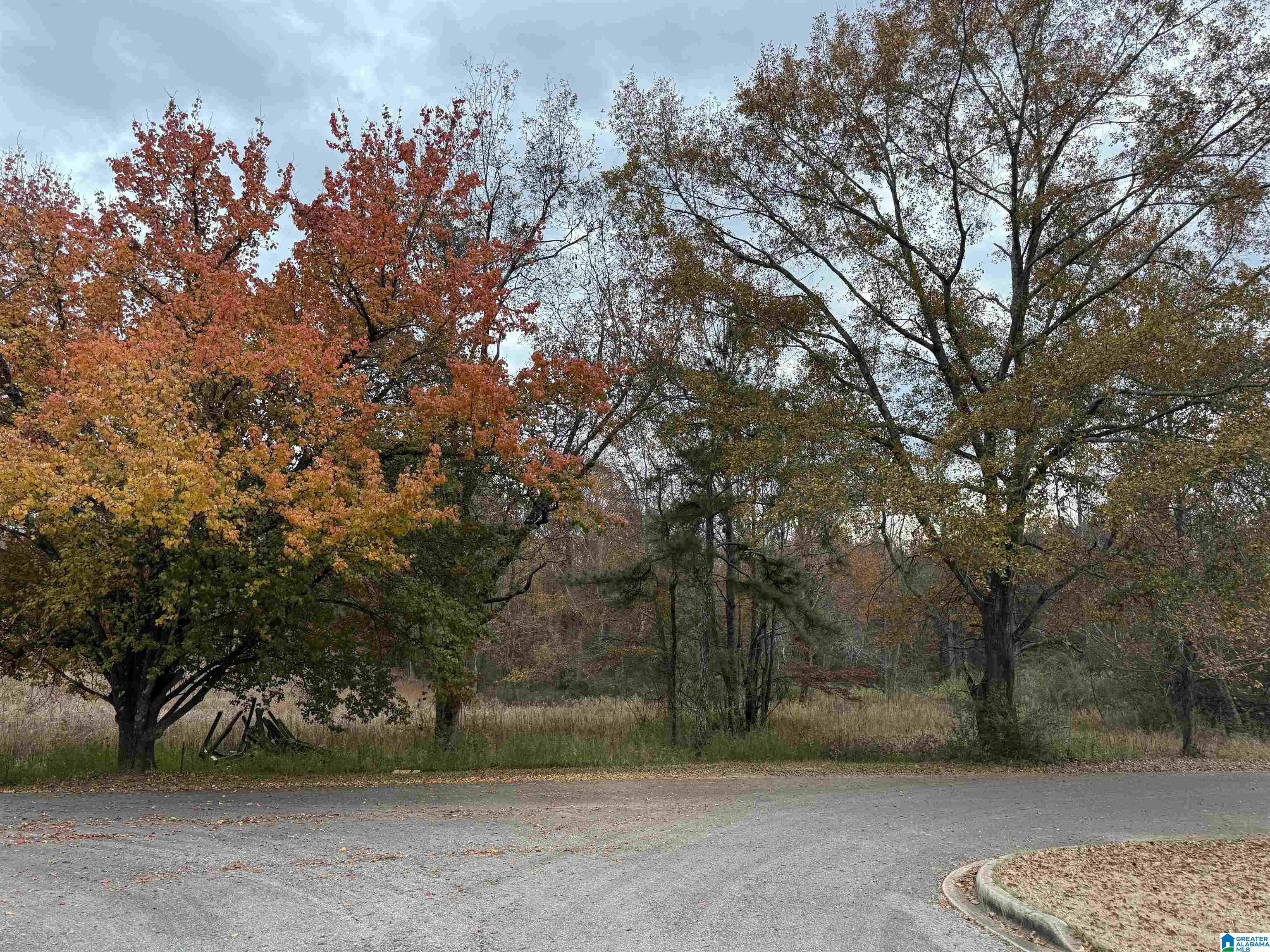 3 Spring Cove Road, Unit 3 Warrior, AL 35180 - Photo 3 of 8