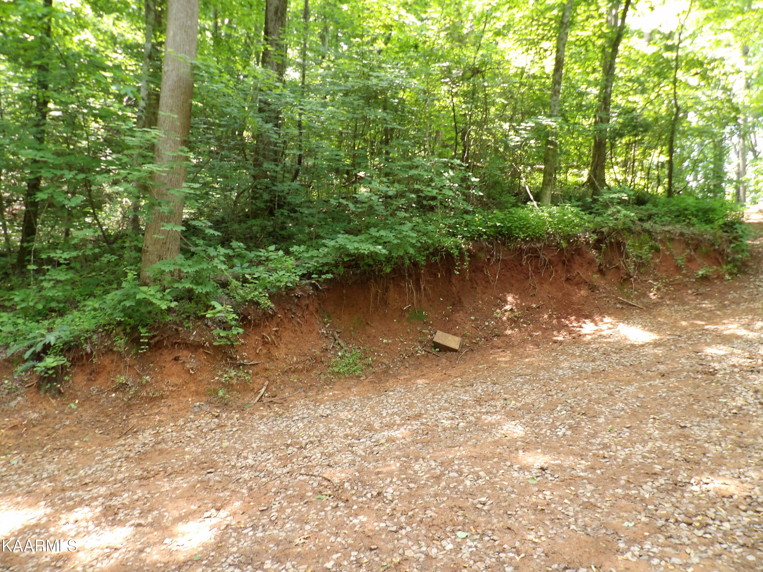 556 Griffith Branch Road Madisonville, TN 37354 - Photo 8 of 22 100_0386