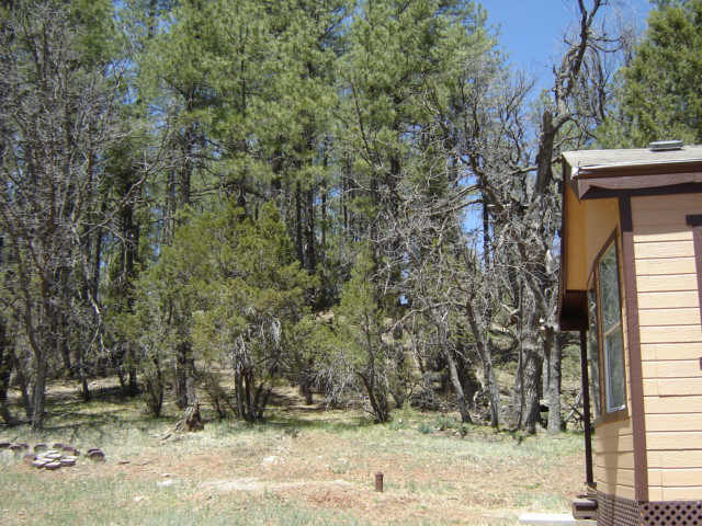 49 South Cienega Road Payson, AZ 85541 - Photo 6 of 6 Additional Photo